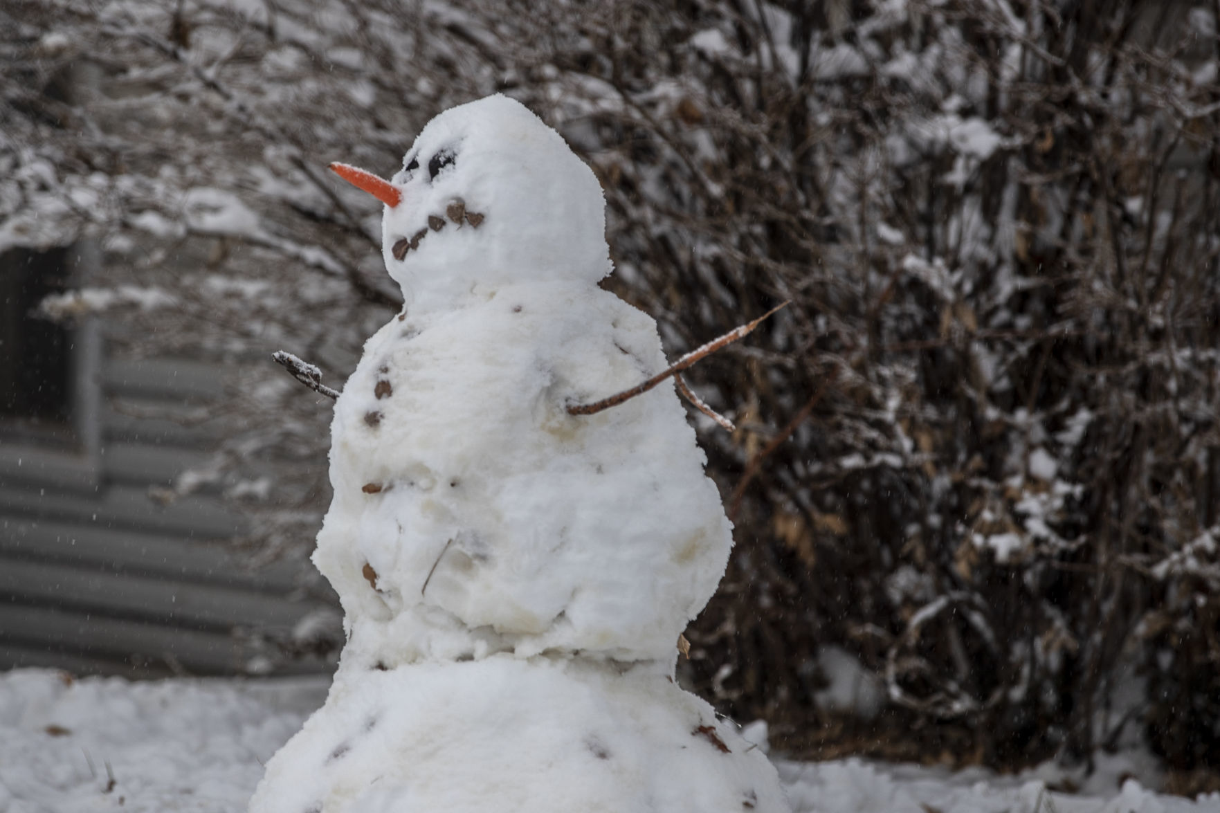 Snow